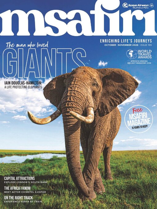Cover image for Msafiri